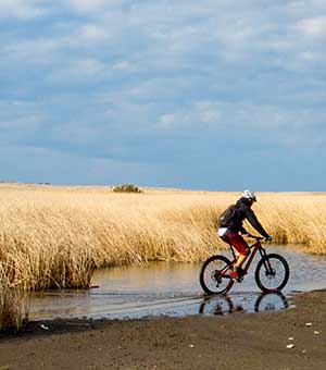 Povljana Island Pag Trails